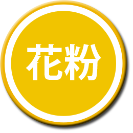 花粉