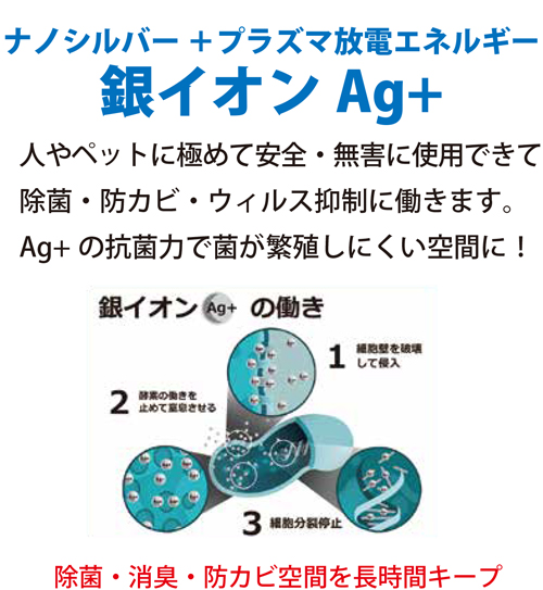 銀イオンAg+